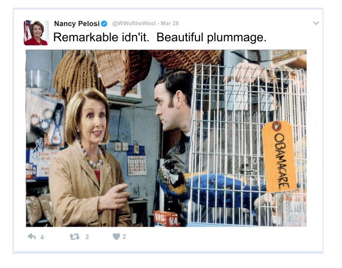 Pelosi 1