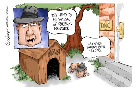 goodwyn MSM lr 4-5-19