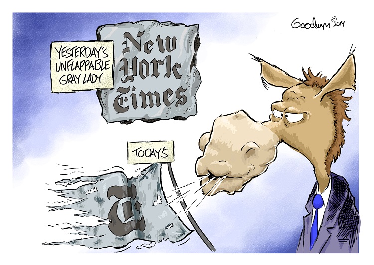 goodwyn Gray Lady vlr 8-13-19